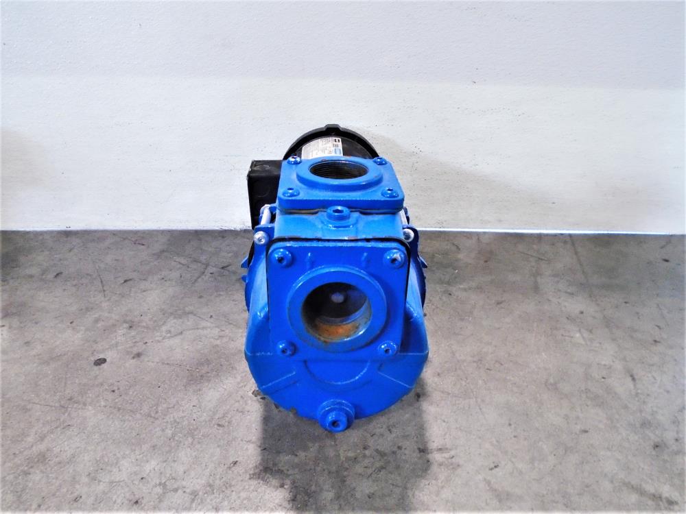 AMT 2" NPT Self Priming Pump 2SP30C-3P with Leeson 3HP Motor